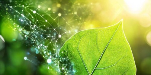 GVR_scienze_Troppa_luce_fa_male