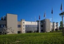 Come rallentare il declino cognitivo: allenare il cervello e aumentare le molecole antinfiammatorie