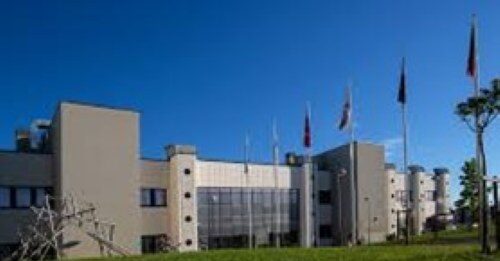 Come rallentare il declino cognitivo: allenare il cervello e aumentare le molecole antinfiammatorie